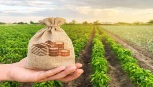 Agricultura Sostenible
